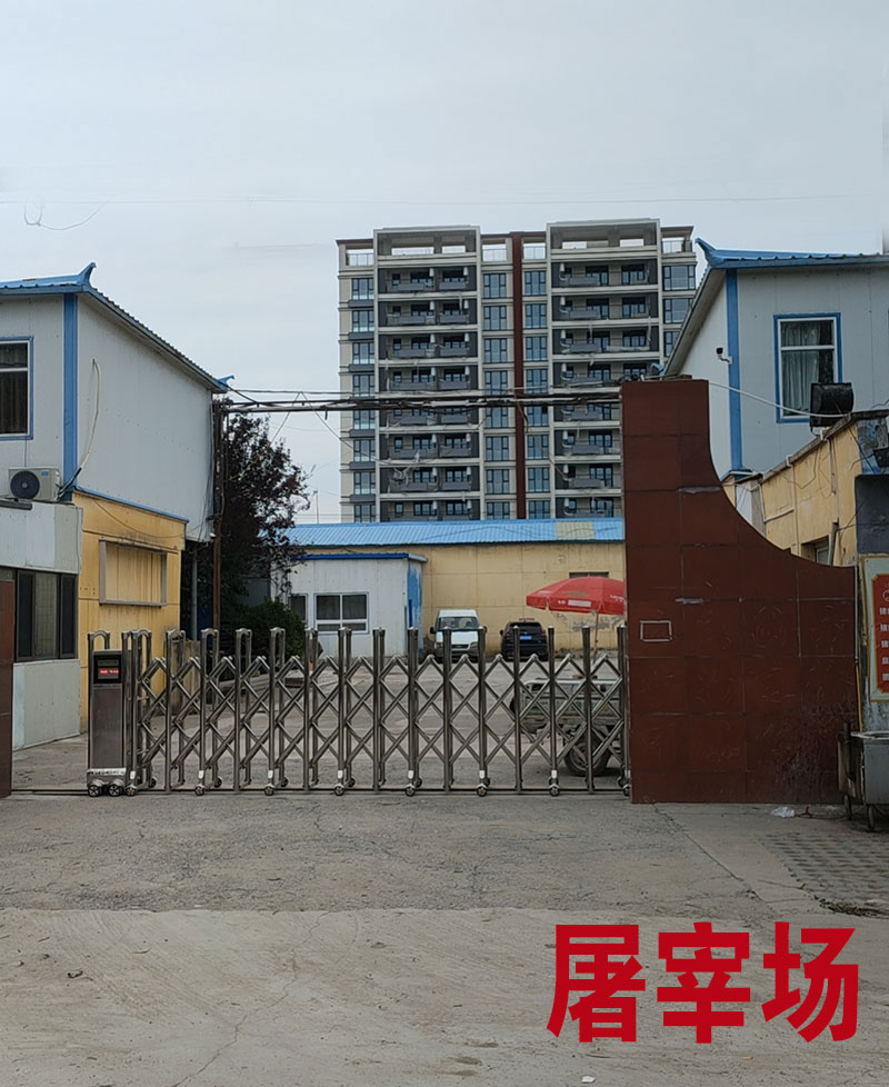 香河县新兴产业园大型屠宰厂、冷库、肉类加工车间、美食街、场地招租