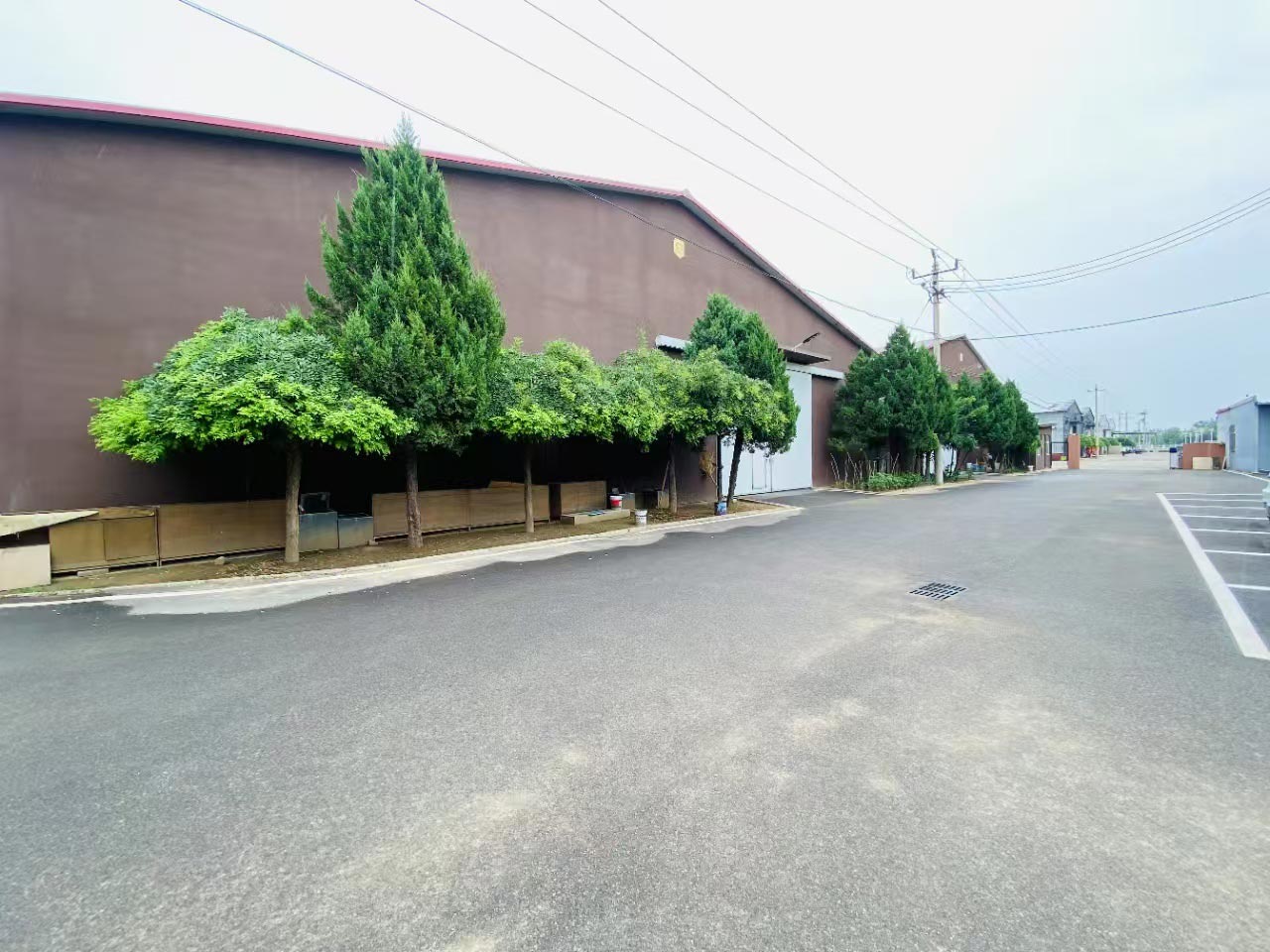 ˳칫ⷿ